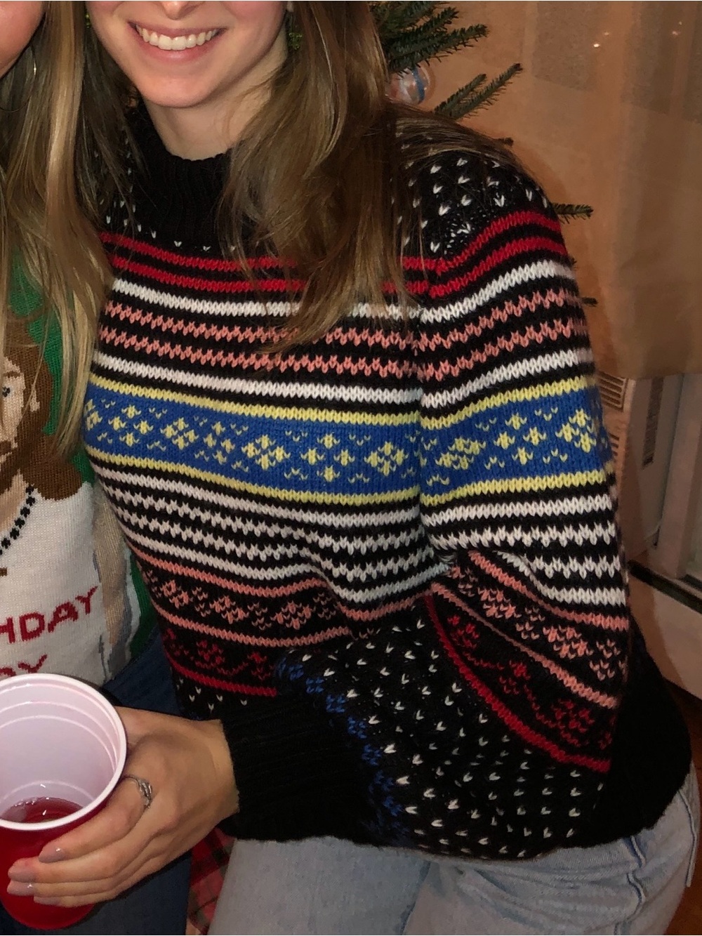 American Eagle Outfitters Nordic Fair Isle Cottagecore Sweater
